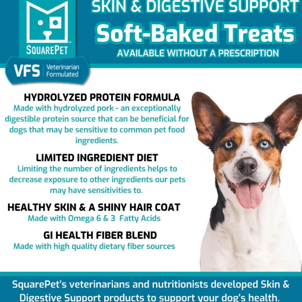 SquarePet VFS Skin & Digestion Support Soft Baked Dog Treats (6 oz)
