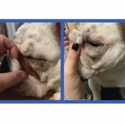 Squishface Wrinkle Paste Skin Fold Cleaner for Dogs (2 oz)