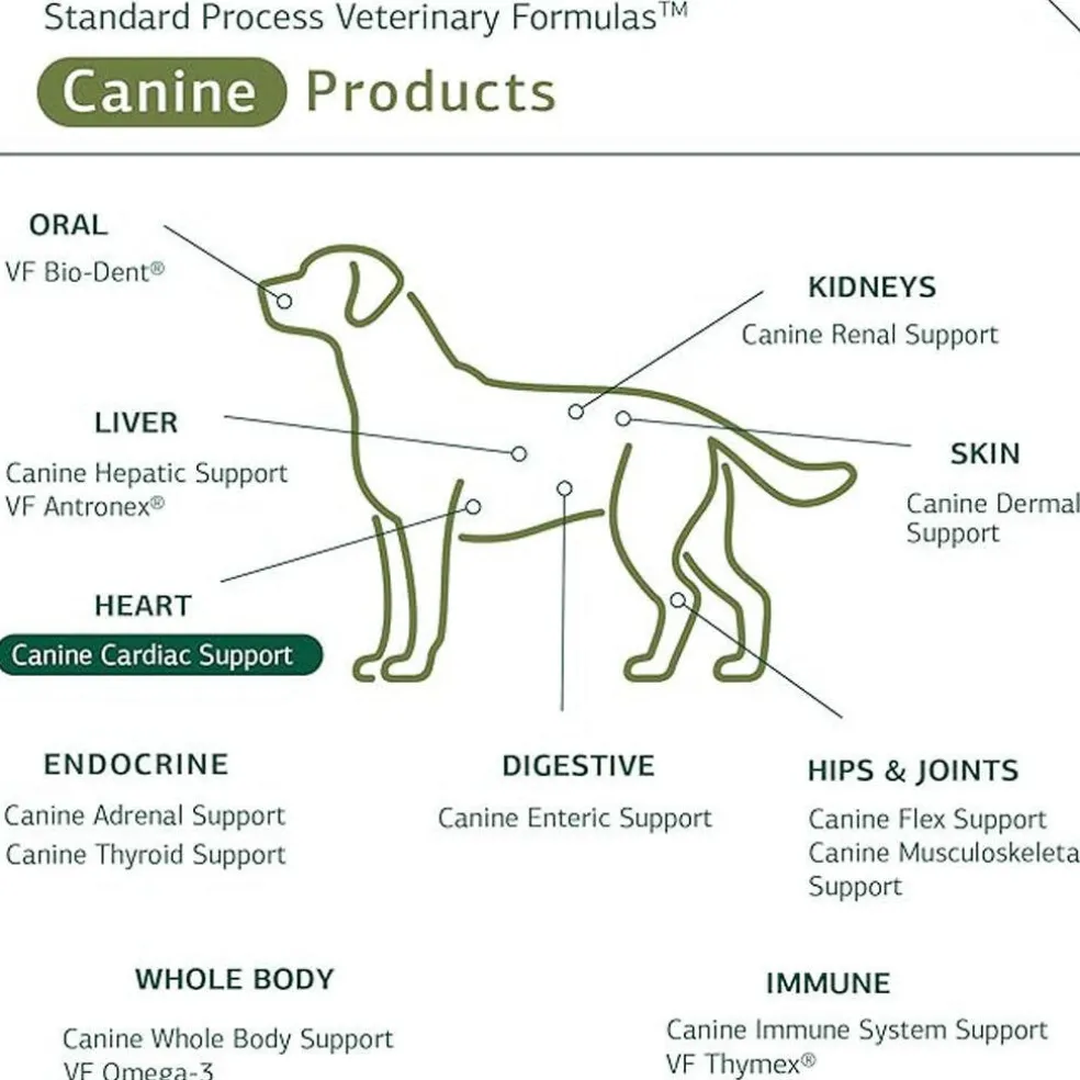 Standard Process Canine Cardiac Support- Heart Supplement for Dogs
