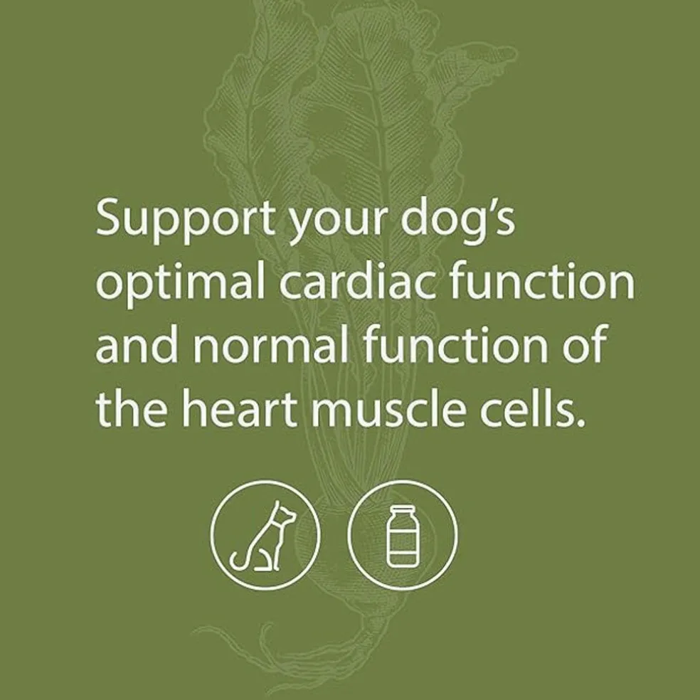 Standard Process Canine Cardiac Support- Heart Supplement for Dogs