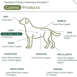 Standard Process Canine Hepatic Support- Liver Metabolism Support for Dogs