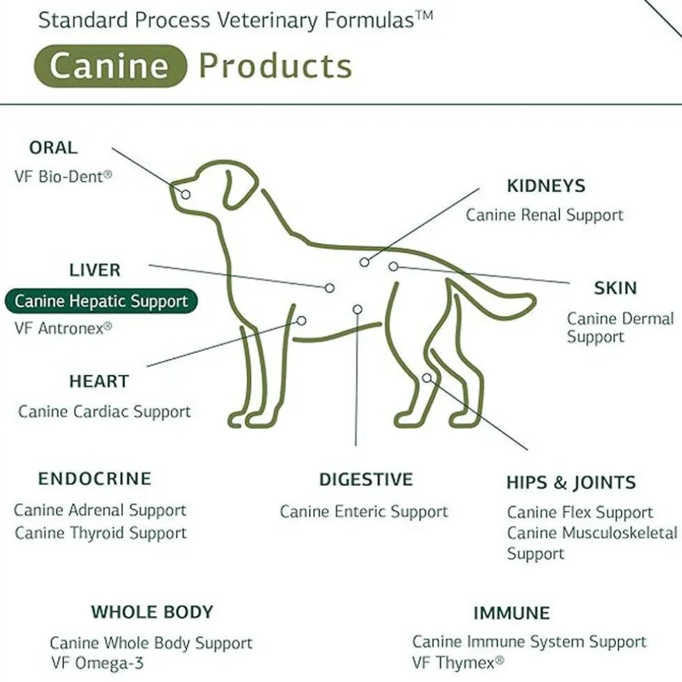 Standard Process Canine Hepatic Support- Liver Metabolism Support for Dogs