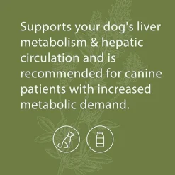 Standard Process Canine Hepatic Support- Liver Metabolism Support for Dogs