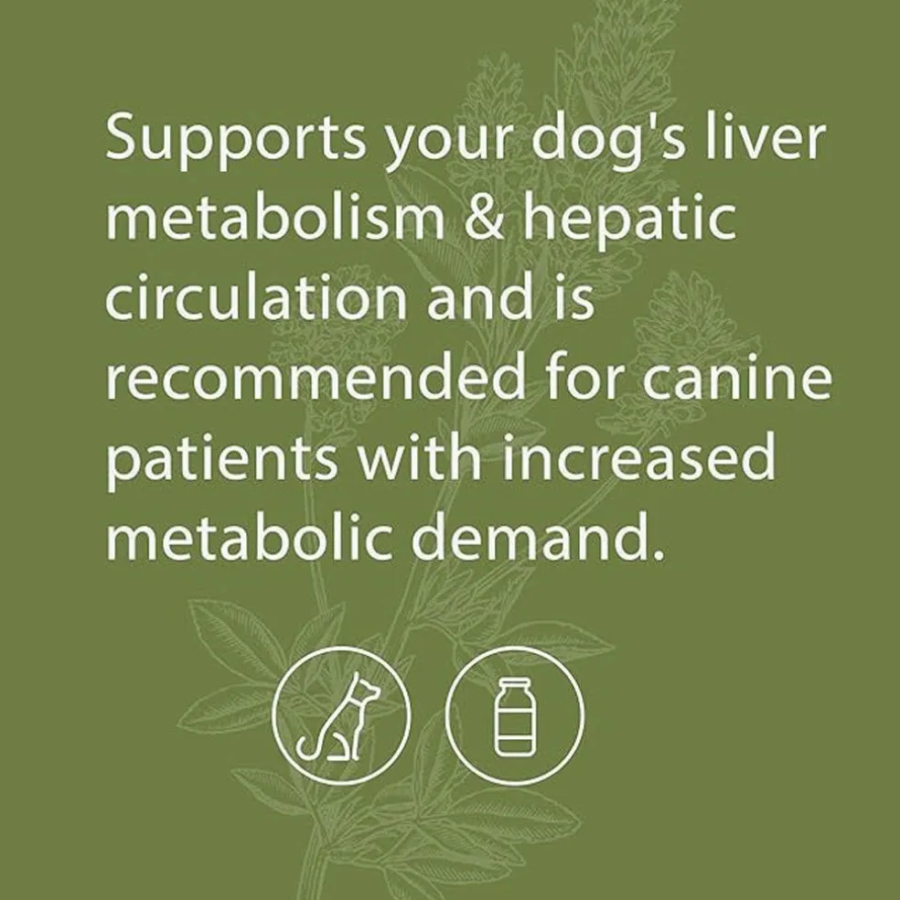 Standard Process Canine Hepatic Support- Liver Metabolism Support for Dogs