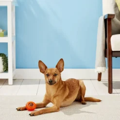 Starmark Everlasting Bento Ball Dog Toy