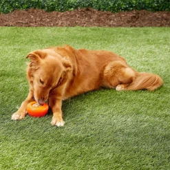 Starmark Everlasting Bento Ball Dog Toy