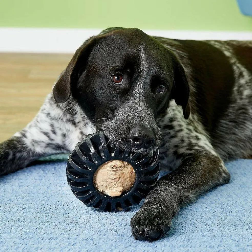 Starmark Everlasting Treat Wheeler Tough Dog Chew Toy