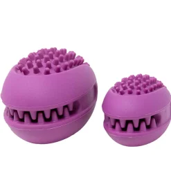 Starmark Snapper Trapper Venus Dog Toy