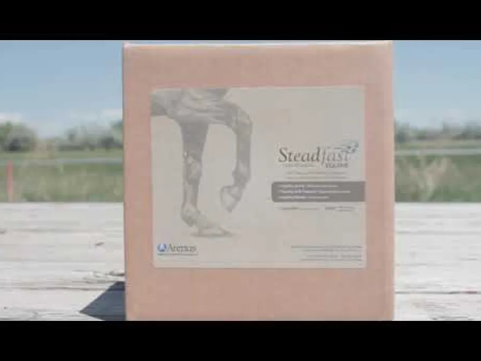 Steadfast Equine Joint Support (60 packets)