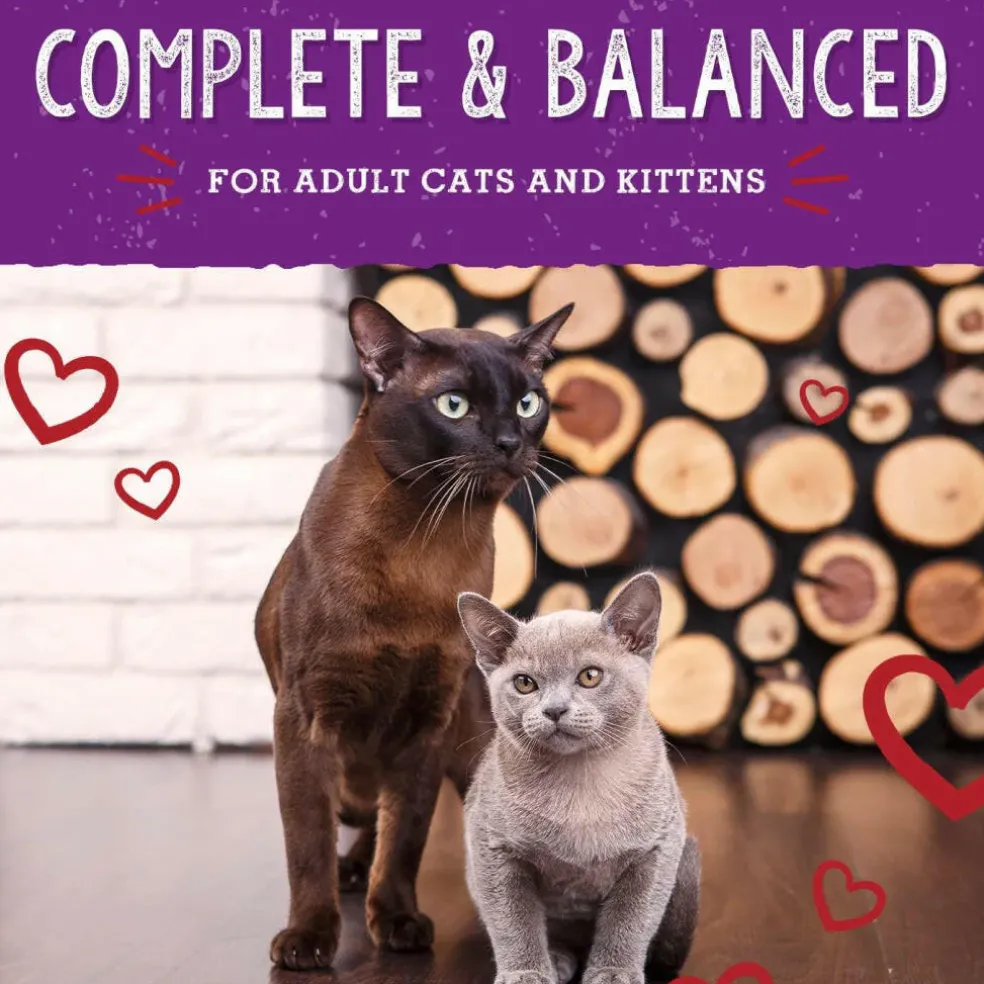 Stella & Chewy's Bountiful Beef Dinner Morsels Freeze-Dried Raw Food for Cats