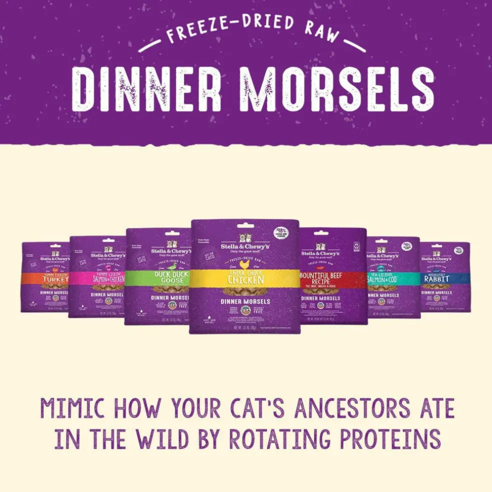 Stella & Chewy's Bountiful Beef Dinner Morsels Freeze-Dried Raw Food for Cats