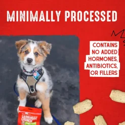 Stella & Chewy's Carnivore Crunch Grass-Fed Beef Recipe Freeze-Dried Raw Dog Treats (3.25 oz)