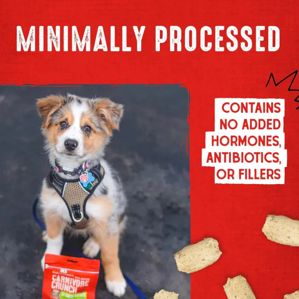 Stella & Chewy's Carnivore Crunch Grass-Fed Beef Recipe Freeze-Dried Raw Dog Treats (3.25 oz)