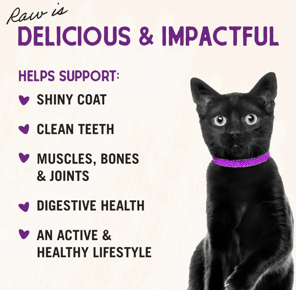 Stella & Chewy's Chick Chick Chicken Dinner Morsels Freeze-Dried Raw Food for Cats