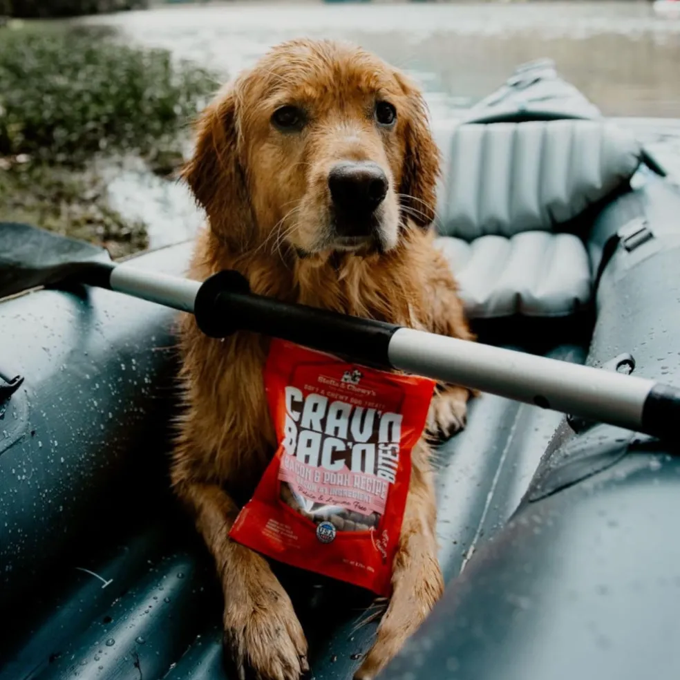 Stella & Chewy's Crav'n Bac'n Bites Bacon & Pork Recipe Dog Treats (8.25 oz)