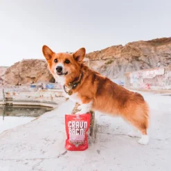 Stella & Chewy's Crav'n Bac'n Bites Bacon & Pork Recipe Dog Treats (8.25 oz)