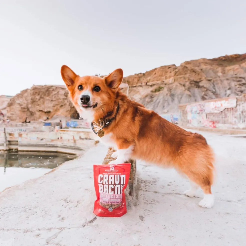 Stella & Chewy's Crav'n Bac'n Bites Bacon & Pork Recipe Dog Treats (8.25 oz)