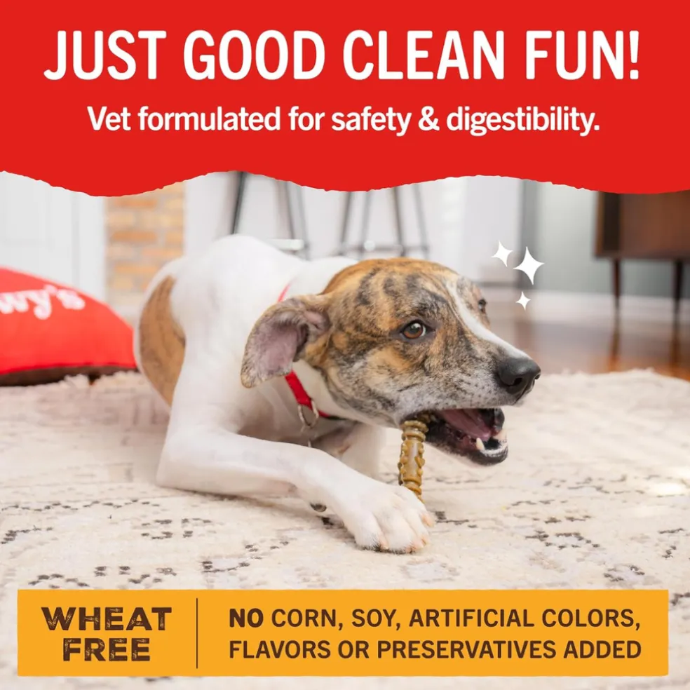 Stella & Chewy's Dental Delights 4-in-1 Dental Treats for Dogs