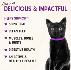 Stella & Chewy's Duck Duck Goose Dinner Morsels Freeze-Dried Raw Food For Cats