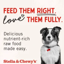 Stella & Chewy's Freeze-Dried Beef Liver Treats For Dogs (3 oz)