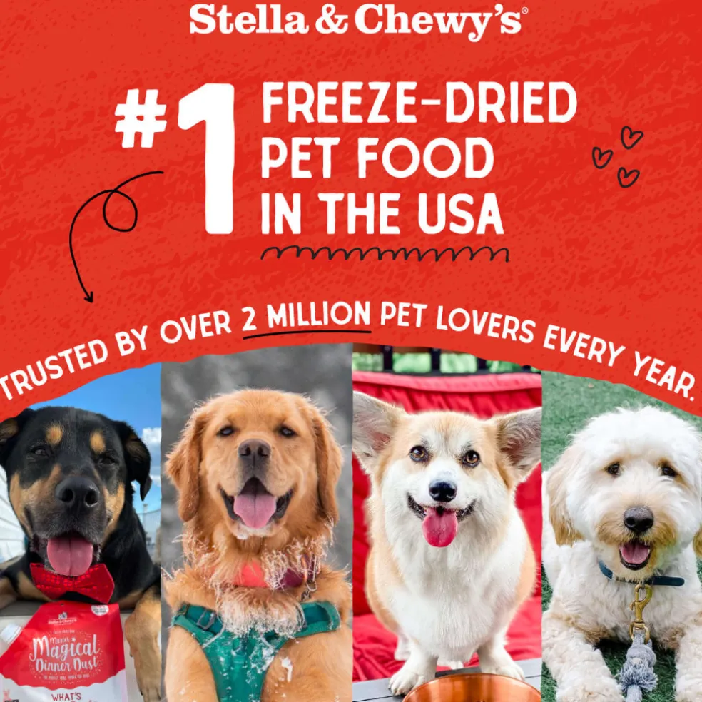 Stella & Chewy's Freeze-Dried Beef Liver Treats For Dogs (3 oz)