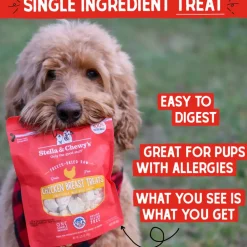 Stella & Chewy's Freeze-Dried Chicken Breast Dog Treats (2.75 oz)