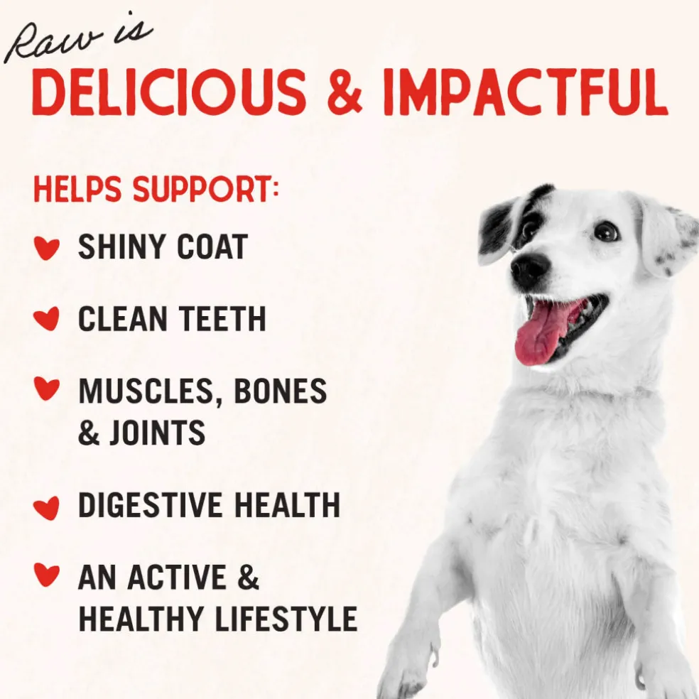 Stella & Chewy's Freeze-Dried Lamb Liver Treats For Dogs (3 oz)