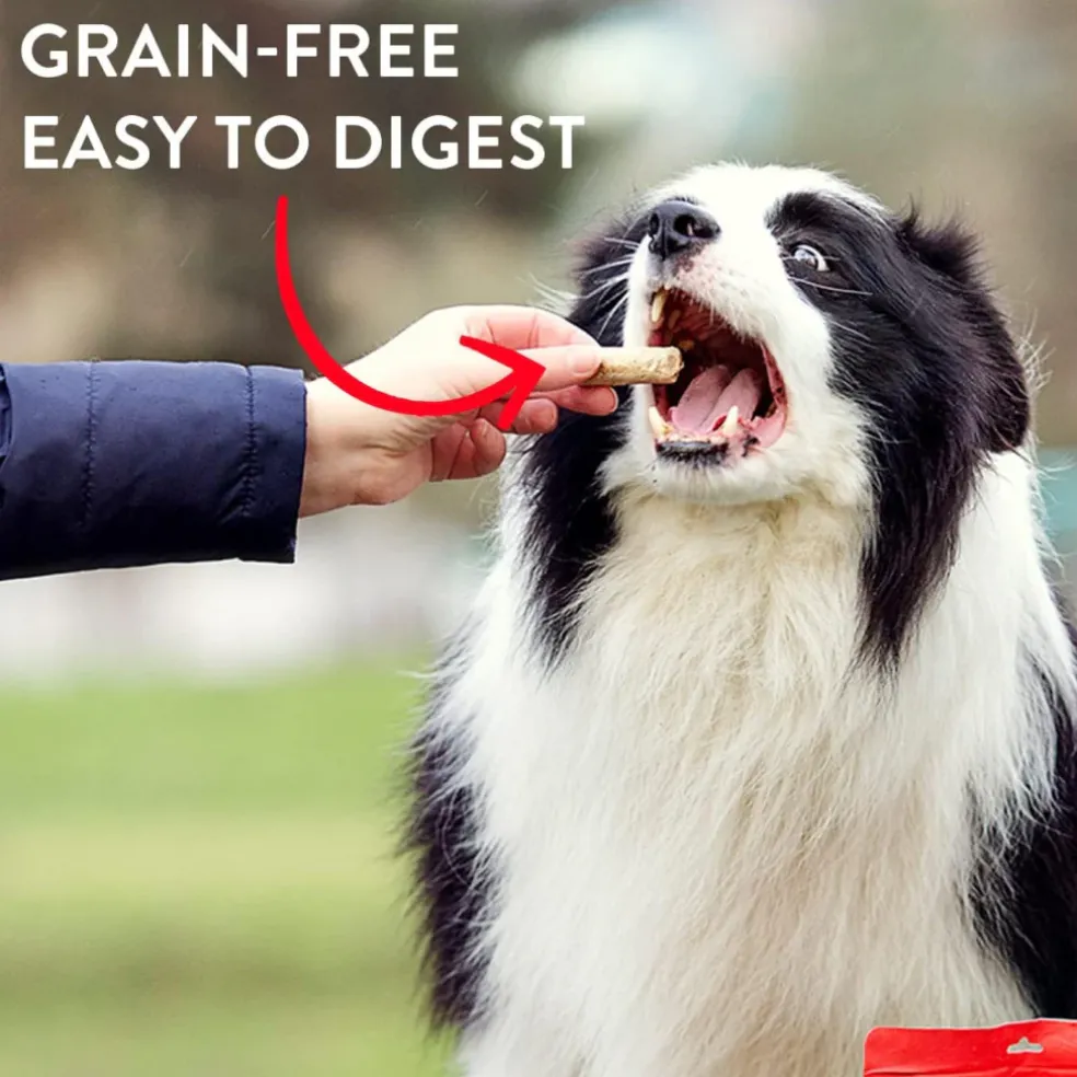 Stella & Chewy's Raw Coated Biscuits Grass-Fed Beef Recipe Crunchy Dog Treats (9 oz)