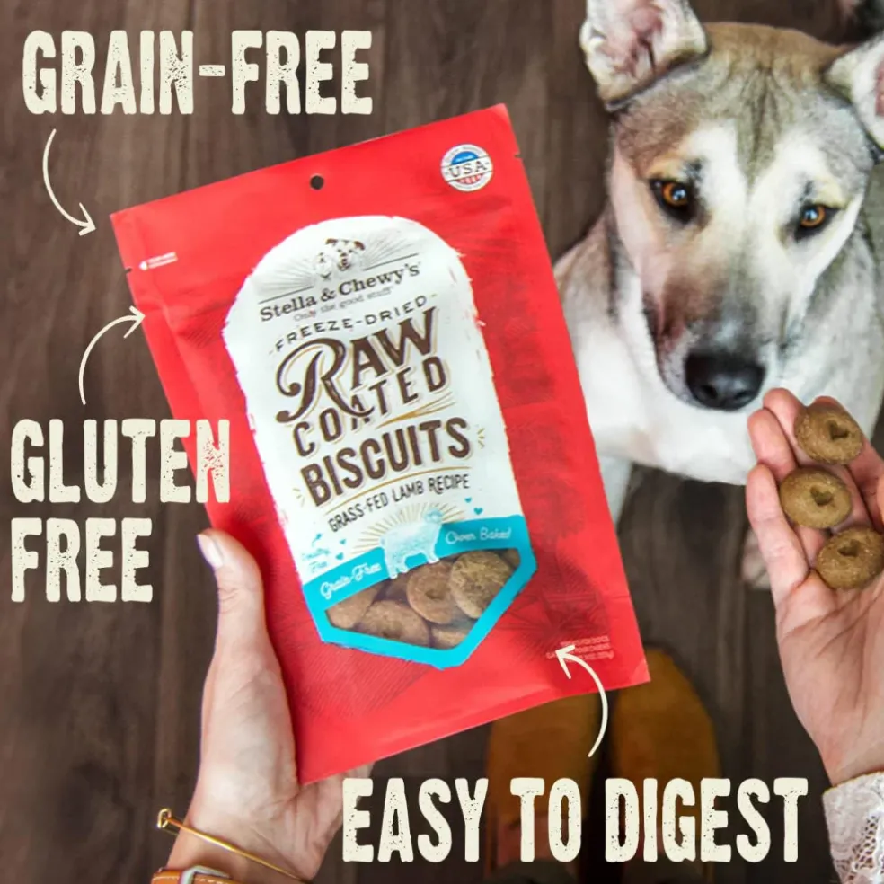 Stella & Chewy's Raw Coated Biscuits Grass-Fed Beef Recipe Crunchy Dog Treats (9 oz)