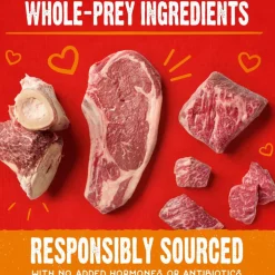 Stella & Chewy's Raw Coated Biscuits Grass-Fed Beef Recipe Crunchy Dog Treats (9 oz)