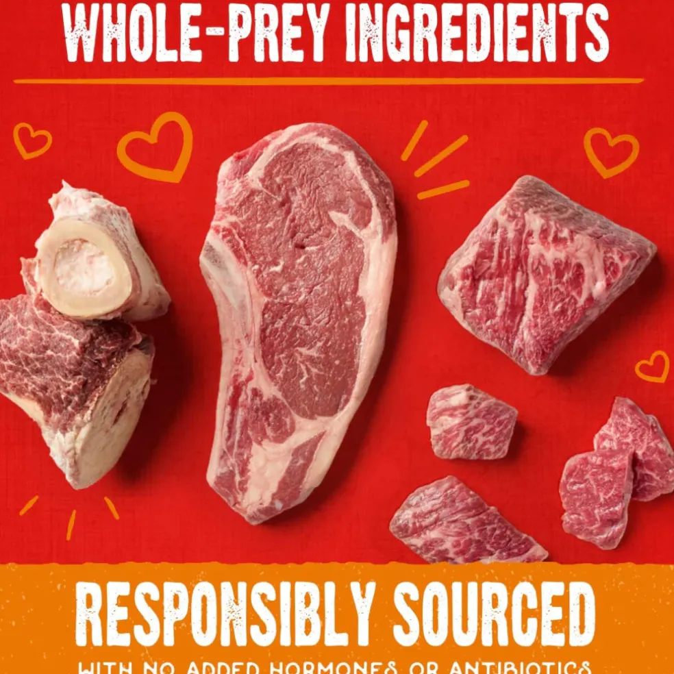 Stella & Chewy's Raw Coated Biscuits Grass-Fed Beef Recipe Crunchy Dog Treats (9 oz)