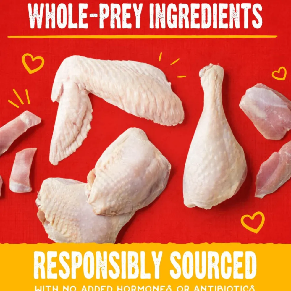 Stella & Chewy's Raw Coated Biscuits Cage-Free Chicken Recipe Crunchy Dog Treats (9 oz)