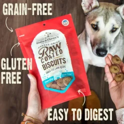 Stella & Chewy's Raw Coated Biscuits Cage-Free Chicken Recipe Crunchy Dog Treats (9 oz)