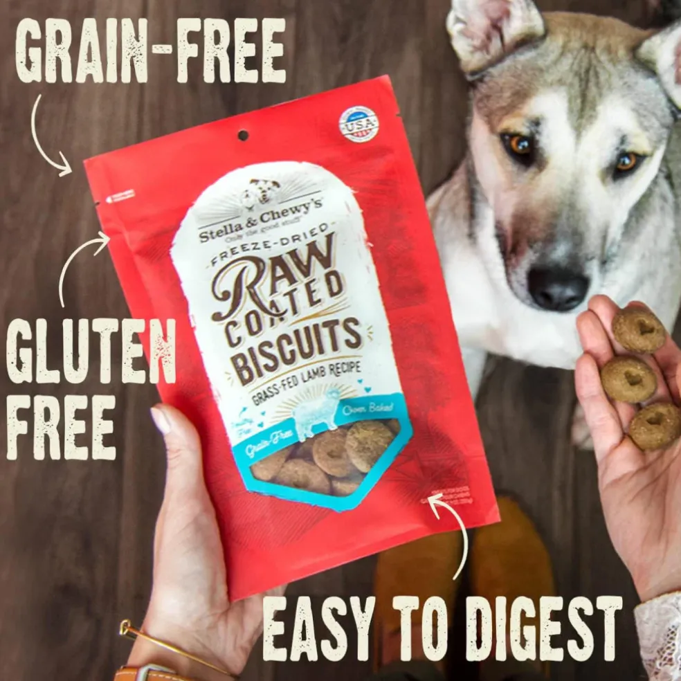 Stella & Chewy's Raw Coated Biscuits Cage-Free Chicken Recipe Crunchy Dog Treats (9 oz)
