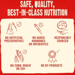 Stella & Chewy's Raw Coated Biscuits Cage-Free Chicken Recipe Crunchy Dog Treats (9 oz)