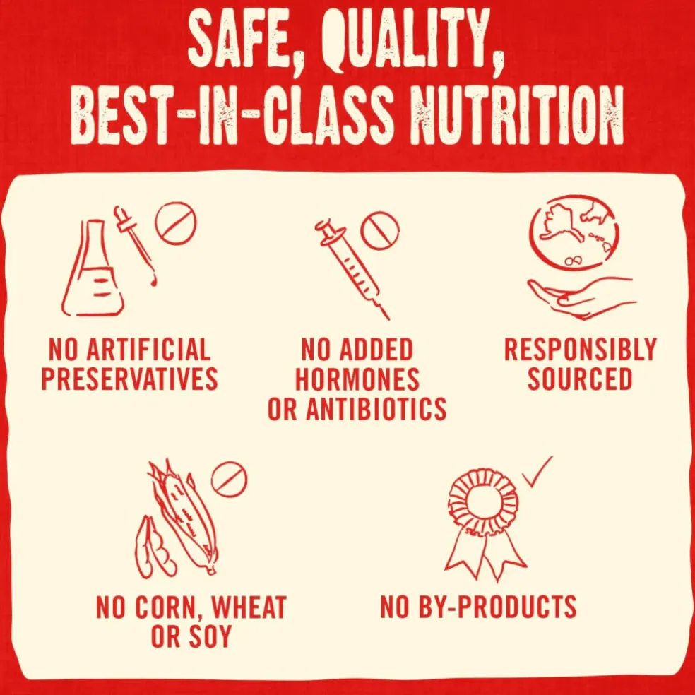 Stella & Chewy's Raw Coated Biscuits Cage-Free Chicken Recipe Crunchy Dog Treats (9 oz)