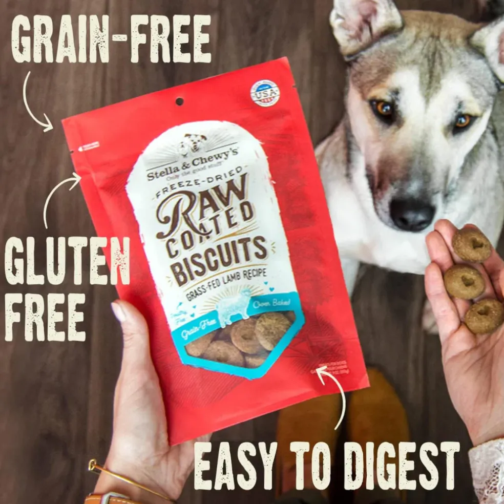 Stella & Chewy's Raw Coated Biscuits Cage-Free Duck Recipe Crunchy Dog Treats (9 oz)