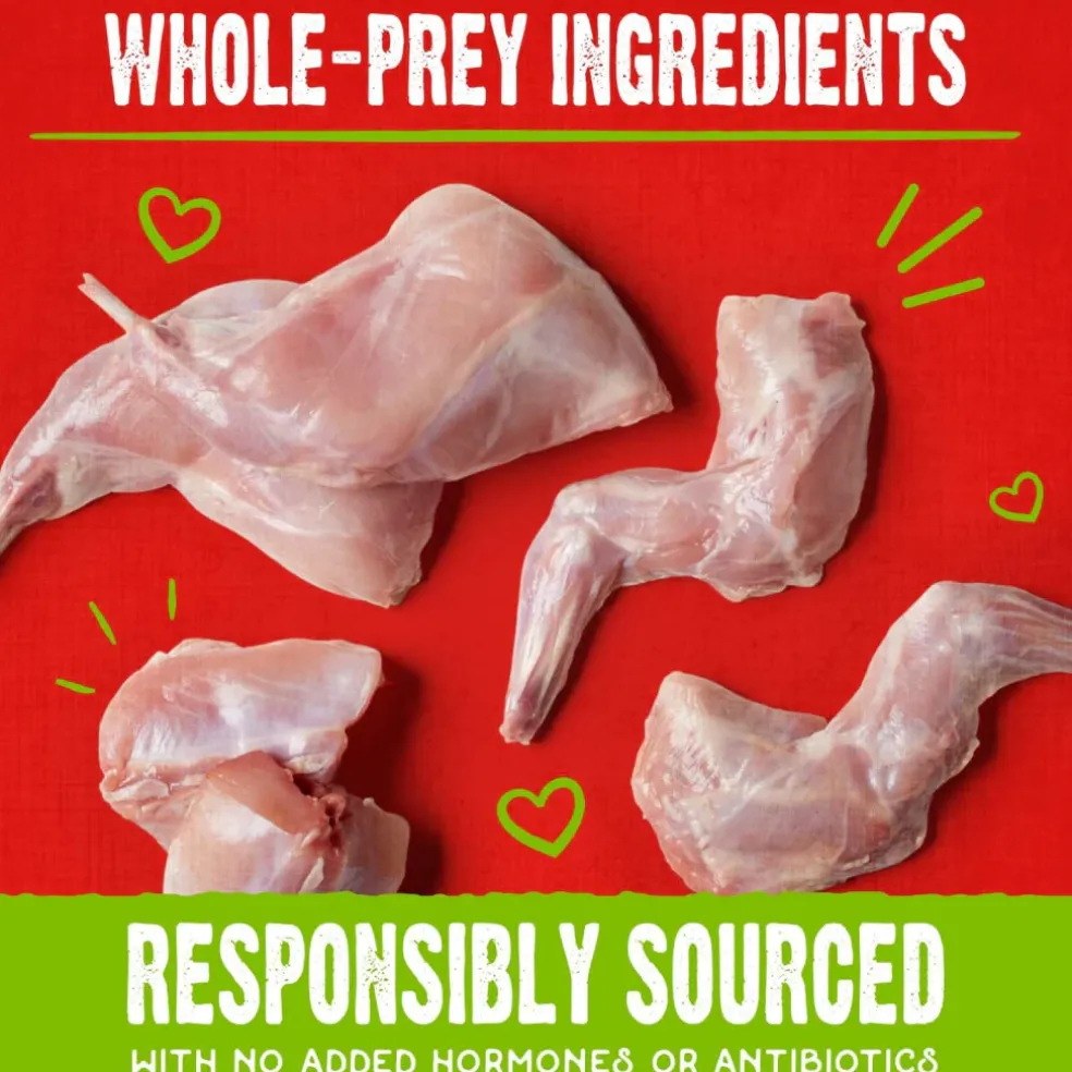 Stella & Chewy's Raw Coated Biscuits Cage-Free Duck Recipe Crunchy Dog Treats (9 oz)