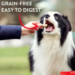 Stella & Chewy's Raw Coated Biscuits Grass-Fed Lamb Recipe Crunchy Dog Treats (9 oz)