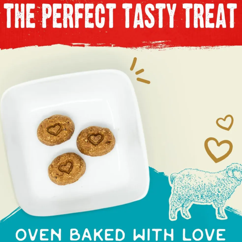 Stella & Chewy's Raw Coated Biscuits Grass-Fed Lamb Recipe Crunchy Dog Treats (9 oz)