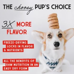 Stella & Chewy's Remarkable Red Meat Dinner Patties Freeze-Dried Raw Food For Dogs