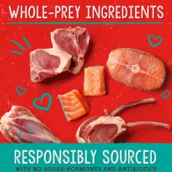 Stella & Chewy's Stella's Solutions Skin & Coat Boost Lamb & Wild-Caught Salmon Freeze-Dried Dinner Morsels For Dogs