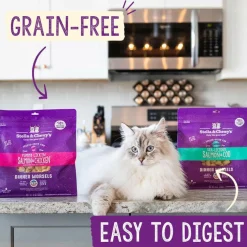 Stella & Chewy's Tummy Ticklin' Turkey Dinner Morsels Freeze-Dried Raw Food for Cats