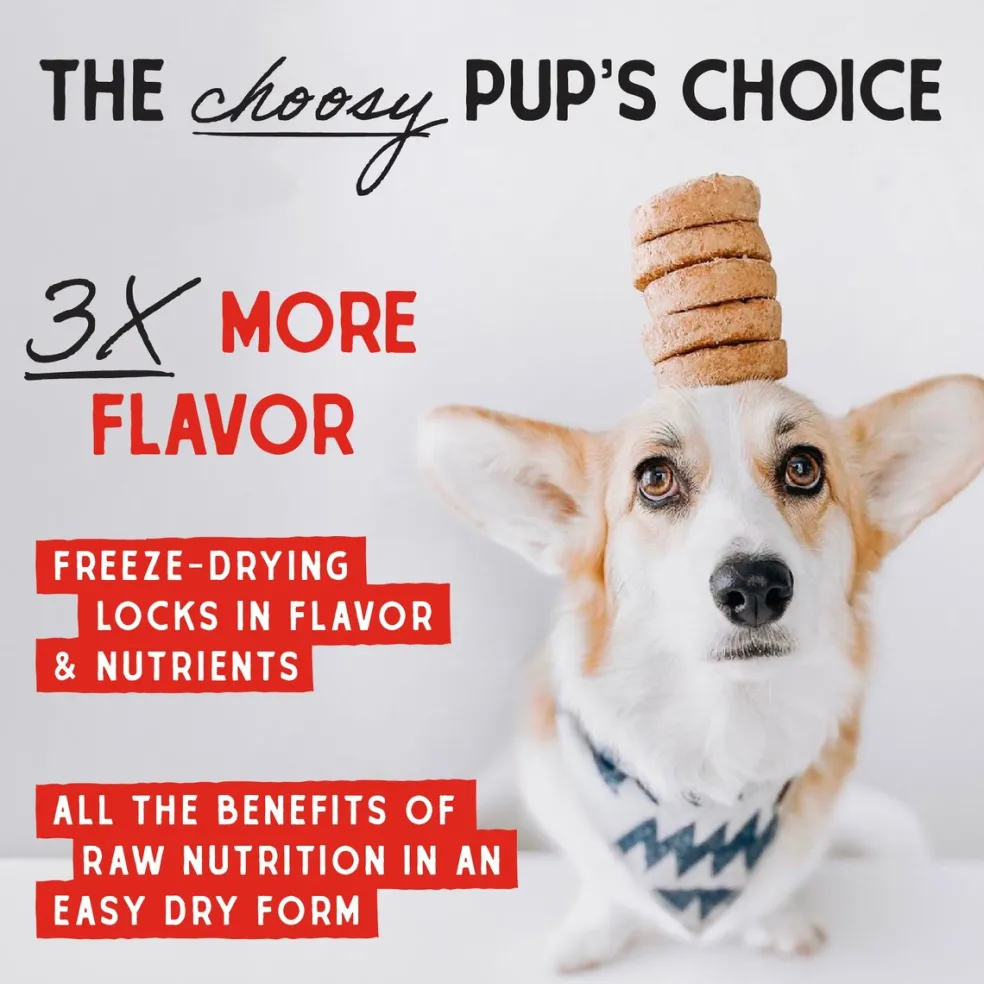 Stella & Chewy's Venison Blend Dinner Patties Freeze-Dried Raw Food for Dogs