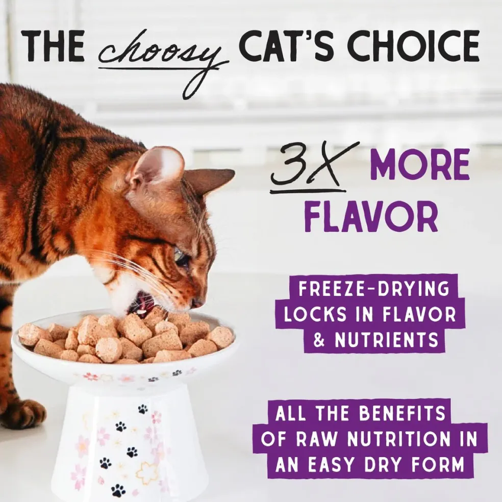 Stella & Chewy's Yummy Lickin' Salmon & Chicken Dinner Morsels Freeze-Dried Raw Food for Cats