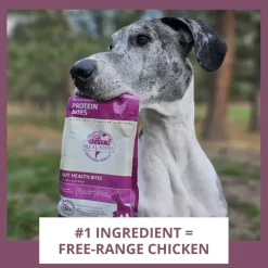 Steve's Real Food Chicken Protein Bites Gut Boosting Bites for Cats & Dogs (4 oz)