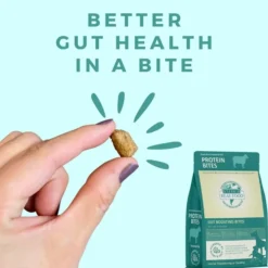 Steve's Real Food Lamb Protein Bites Gut Boosting Bites for Cats & Dogs (4 oz)