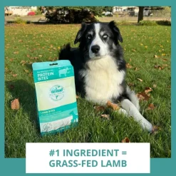 Steve's Real Food Lamb Protein Bites Gut Boosting Bites for Cats & Dogs (4 oz)