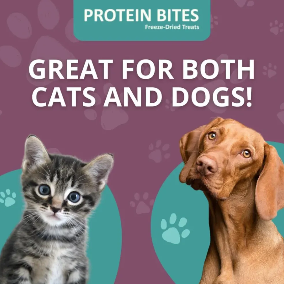 Steve's Real Food Lamb Protein Bites Gut Boosting Bites for Cats & Dogs (4 oz)
