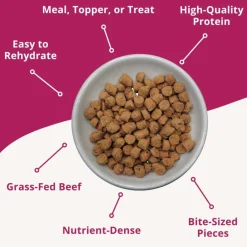 Steve's Real Food Quest Beef Recipe Freeze-Dried Cat Food (10 oz)